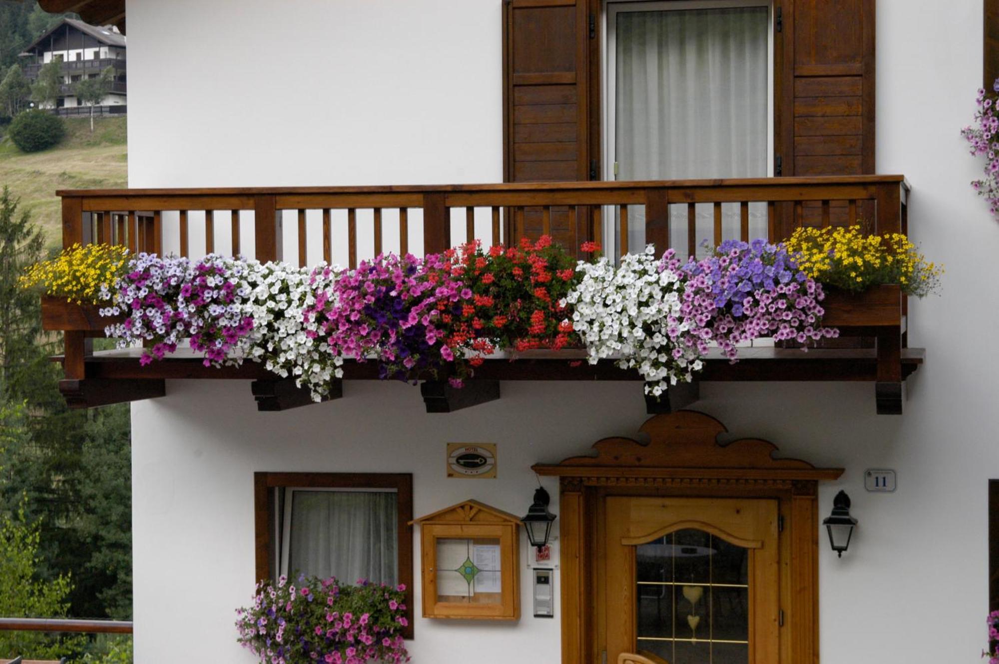 Debra Park Hotel Moena Exterior foto